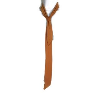 Rust Skinny Tie Skinny Scarves